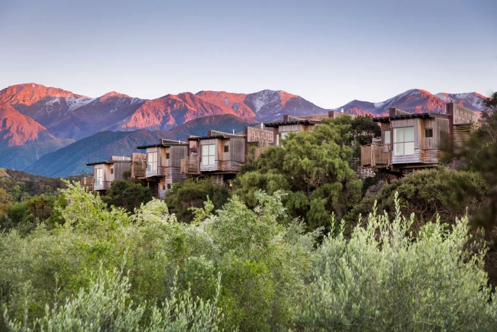 Hapuku Lodge + Treehouses, Kaikoura