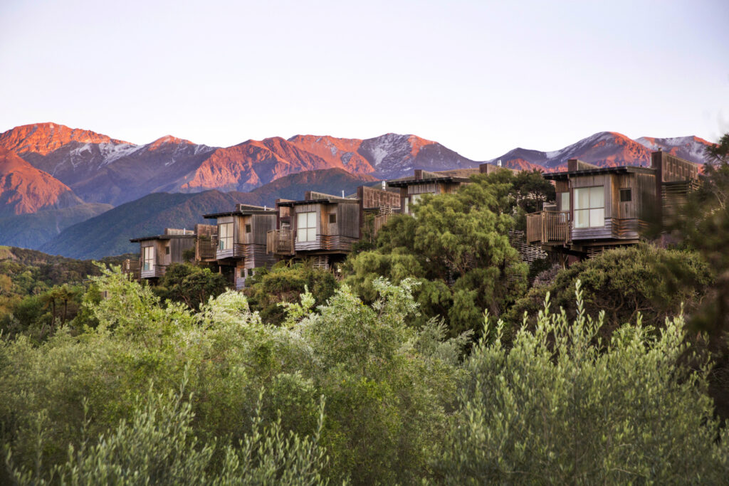 Hapuku Lodge & Treehouses