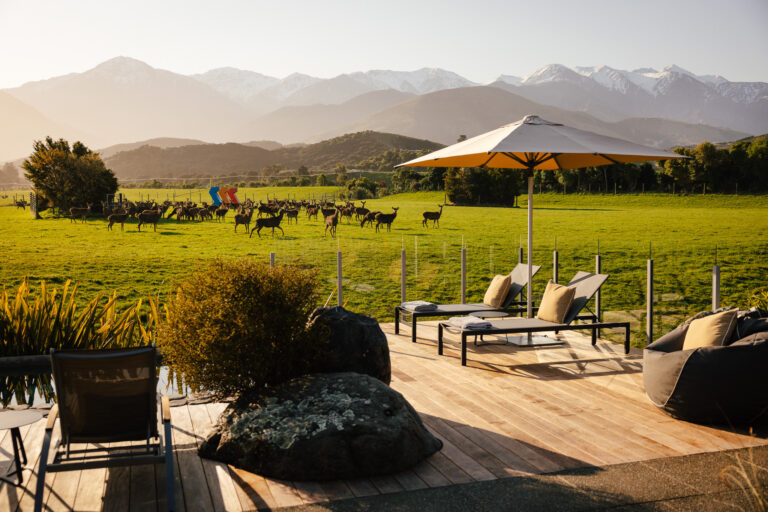Hapuku Lodge & Treehouses Kaikoura