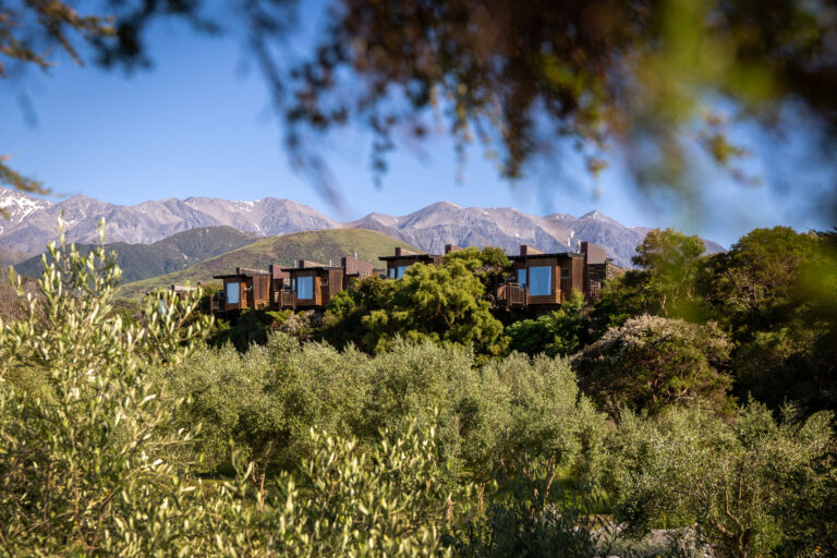 Hapuku Lodge & Treehouses Kaikoura